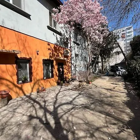 Victory Gardens בוקרשט